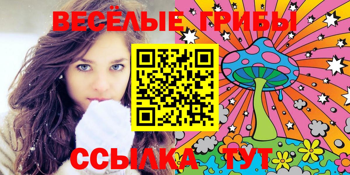 Галлюциногенные грибы Psilocybe  Вход с VPN  Иркутск 